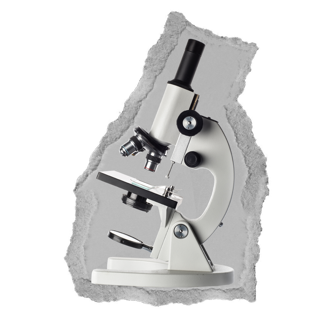 Microscope on torn paper