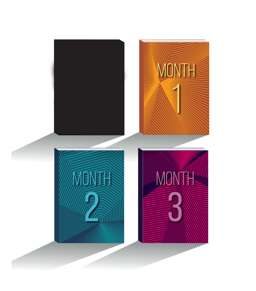 4 books. One blank. Others reading month 1, month 2, month 3