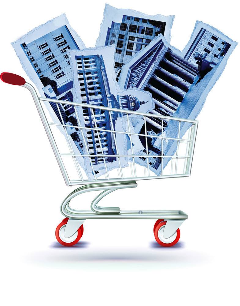 shopping cart holidng images of USA federal buildings