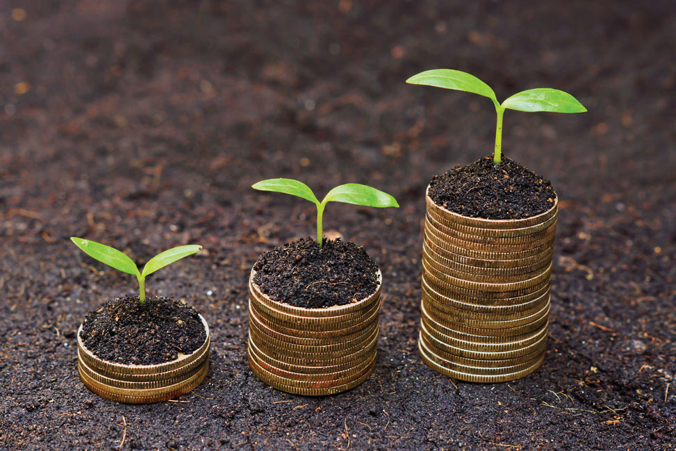 plants growing on stacks of coins