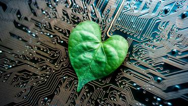 green leaf on top of a computer circuit board