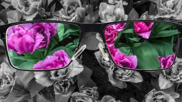 seeing in full (color)