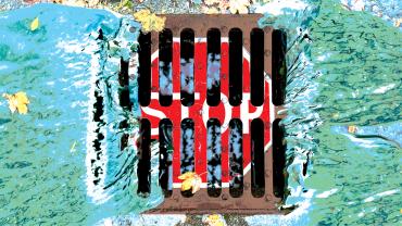 Stop sign over storm drain