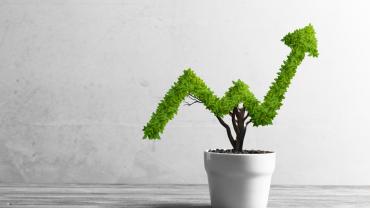 Improving law department productivity 