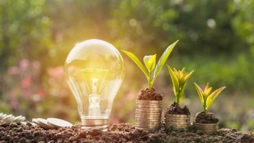 lightbulb with piles of change that have seedings growing out of them next to it, over dirt with green bushes/trees, and flowers in background