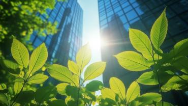 Green leaves below office buildings