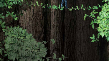 a man in a suit walking on vines from the americas to the eastern hemisphere