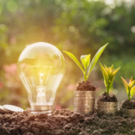 lightbulb with piles of change that have seedings growing out of them next to it, over dirt with green bushes/trees, and flowers in background