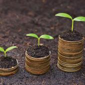 plants growing on stacks of coins