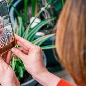a person having a video call on their phone