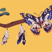 caterpillars transforming into a butterfly