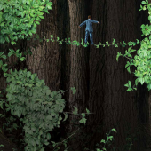 a man in a suit walking on vines from the americas to the eastern hemisphere