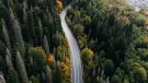 Winding road
